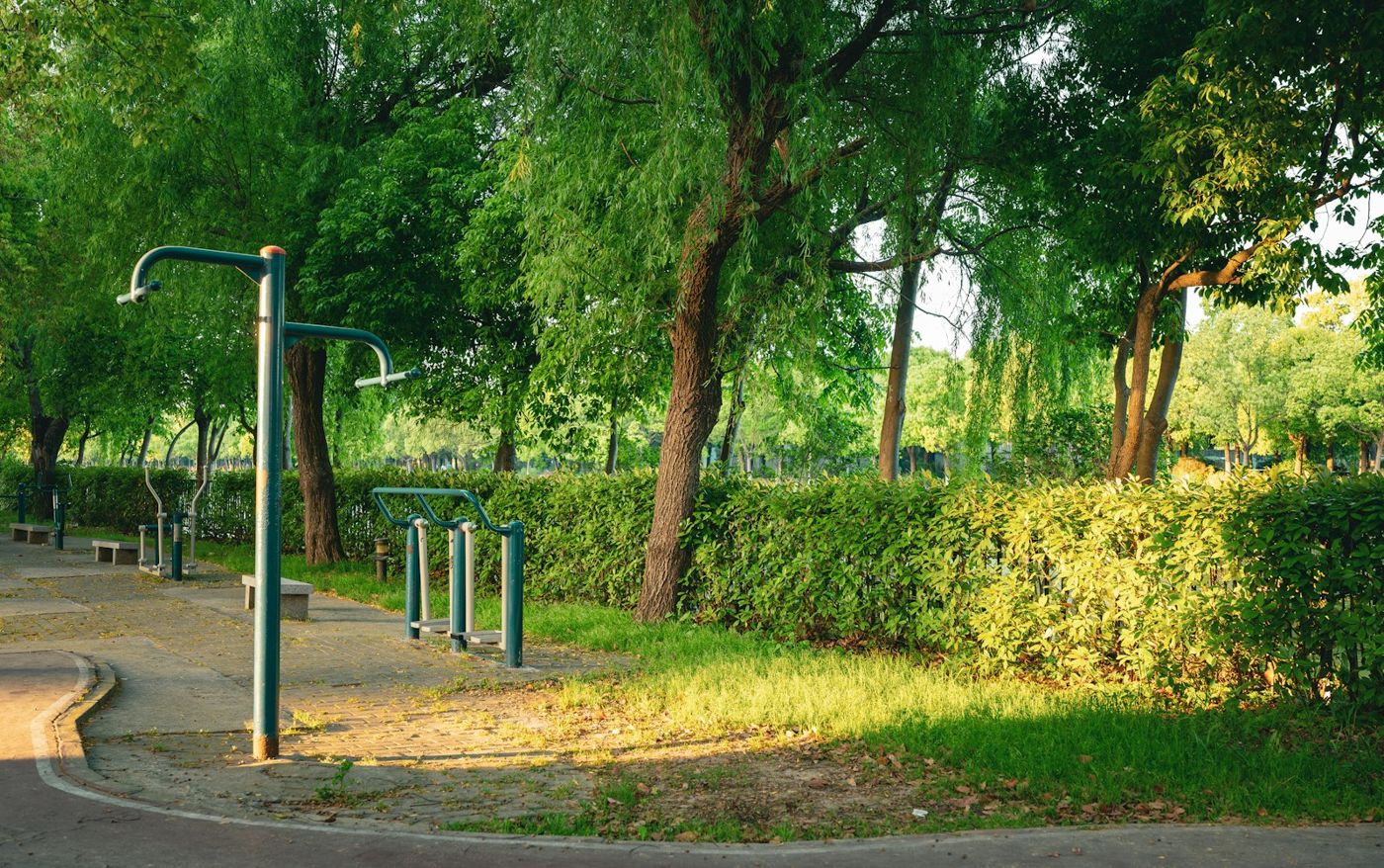Outdoor exercise equipment along a path in a green park